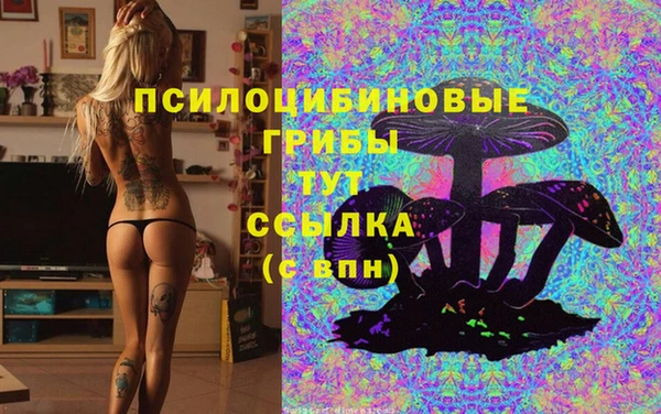 гашиш Абаза
